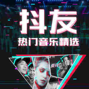 抖音dj最火歌曲